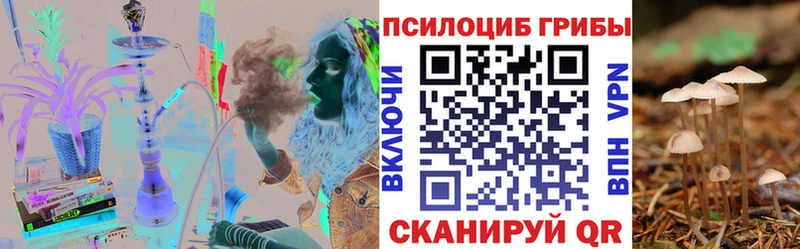 blacksprut зеркало  купить   Торопец  darknet формула  Галлюциногенные грибы Psilocybe 